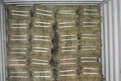 Bulk loaded