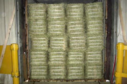 Bulk loaded