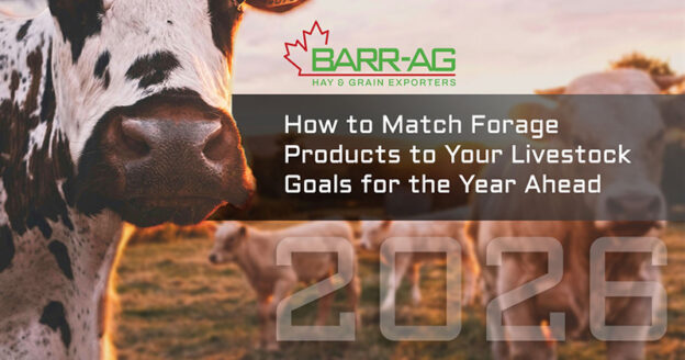 Match Forage Products to Your Livestock Goals