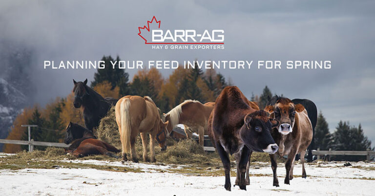 Spring House Inventory Planning Your Feed Inventory for Spring - Barr-Ag Hay & Grain Exporters ...