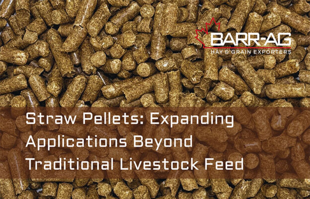Straw Pellets: Expanding Applications Beyond Traditional Livestock Feed