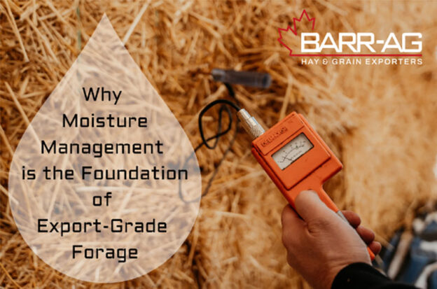 Why Moisture Management Is the Foundation of Export-Grade Forage